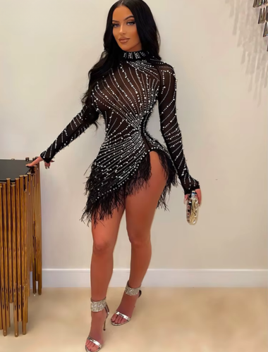 Celestial Luxe Feathered Crystal Dress