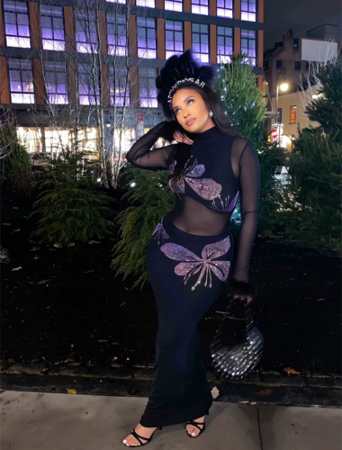 Midnight Butterfly Mesh Gown